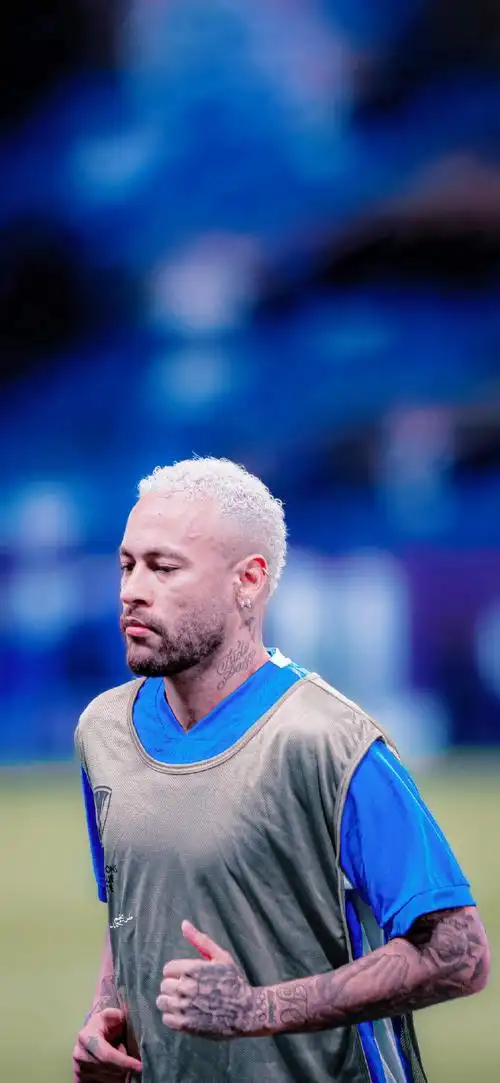 启示与未来 启示与未来